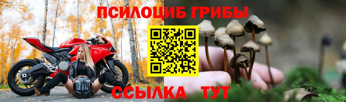 Галлюциногенные грибы MAGIC MUSHROOMS  Вход с VPN  купить наркотик  Саров 