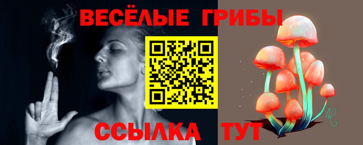 Псилоцибиновые грибы Psilocybe Саров